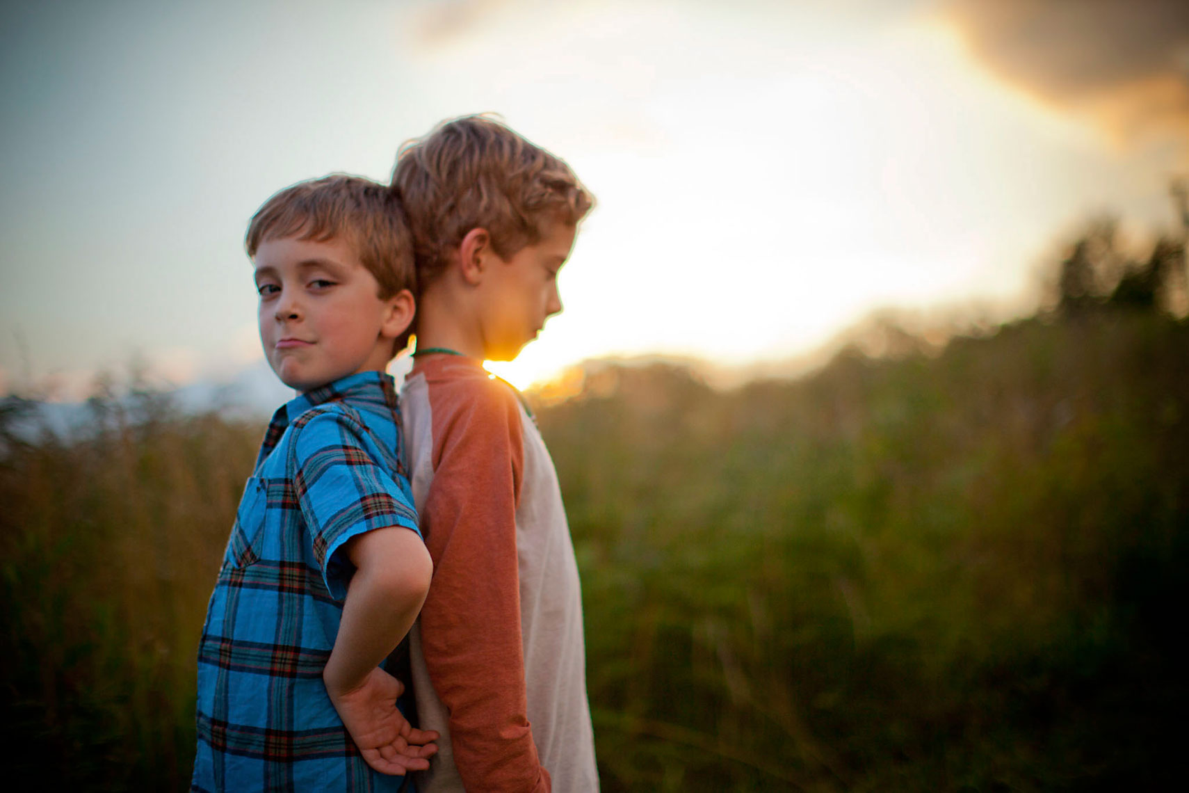 family_field_1199